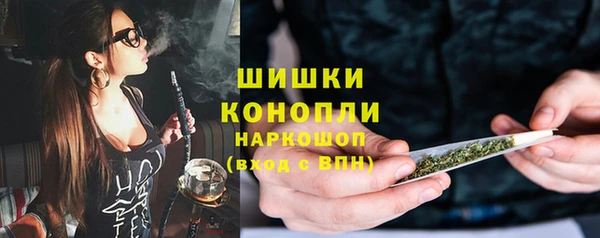 mix Богородицк