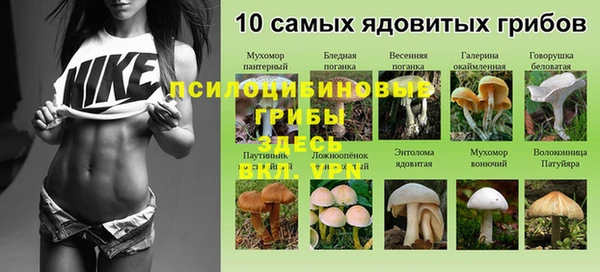 молекула духа Верея