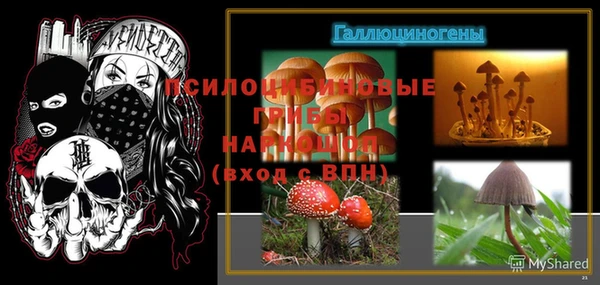 экстази Богданович