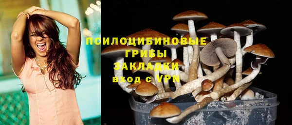 mix Богородицк